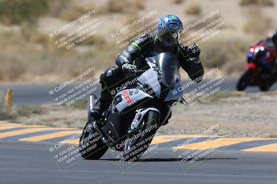 media/May-14-2023-SoCal Trackdays (Sun) [[024eb53b40]]/Turn 5 Tree of Life (1125am)/